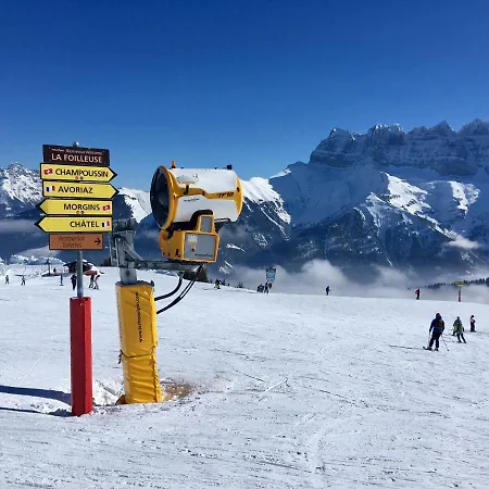 Marmotte 2 *