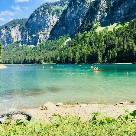 Apartament Marmotte M2 For 8 Morzine
